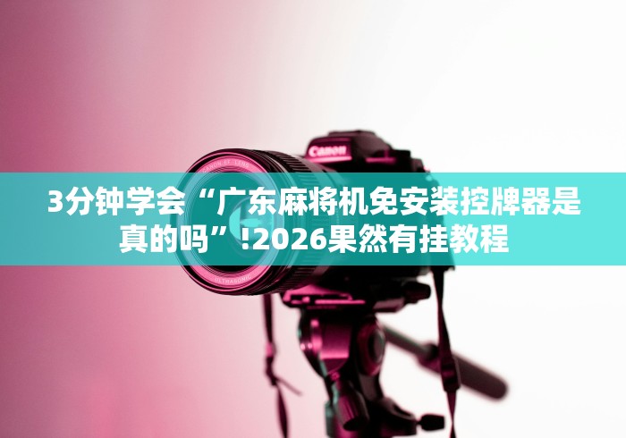 玩家必看教程“麻将机遥控器好使吗[真的有遥控]