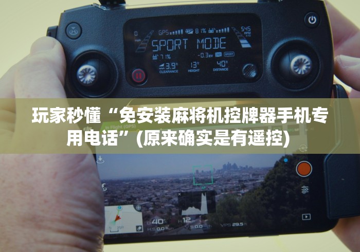 [分析]“麻将机程控器失灵?_游戏_玩家_工具