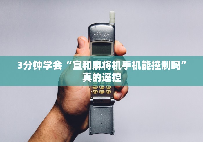 3分钟学会“宣和麻将机手机能控制吗”真的遥控