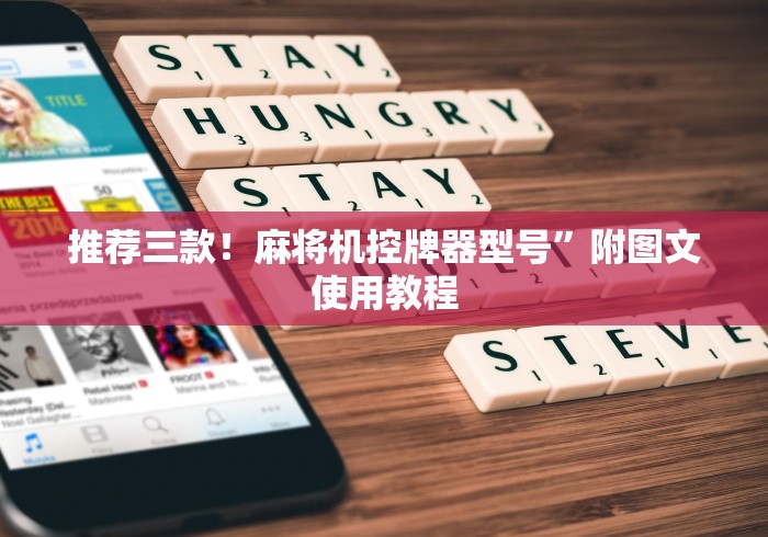 重大来袭“最新麻将机装程控器”(详细透视教程)-哔哩哔哩