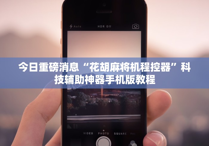 [分析]“遥控麻将机怎么用”(辅助插件下载教程)