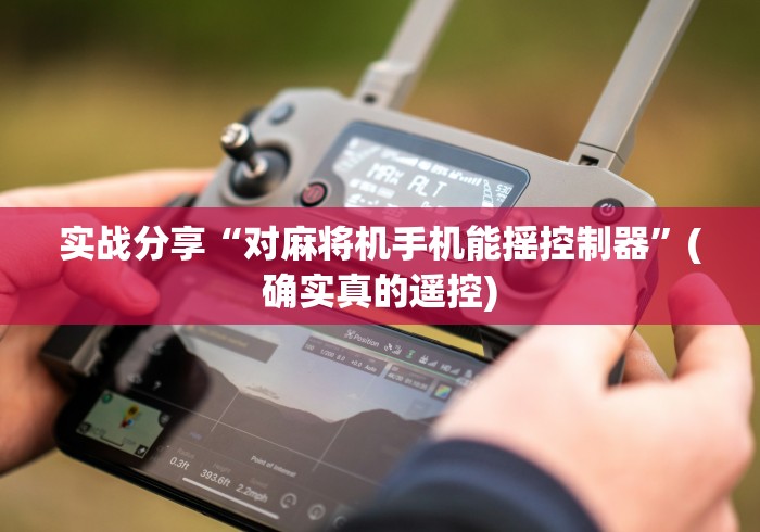 经验传递“红中程序麻将机遥控器(详细开挂工具)-哔哩哔哩