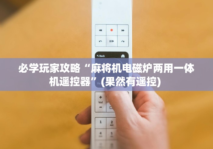 必学玩家攻略“麻将机电磁炉两用一体机遥控器”(果然有遥控) 必学玩家攻略“麻将机电磁炉两用一体机遥控器”(果然有遥控)