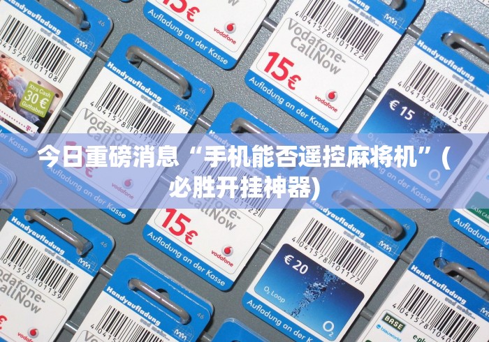 【揭秘一下】“一般麻将机可以遥控不”(原来确实是有插件) 