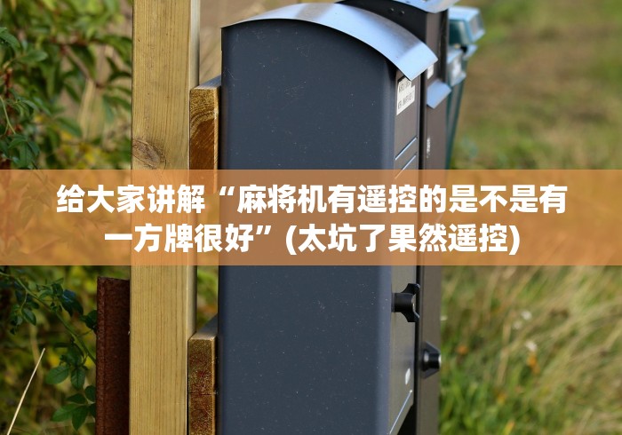 2分钟玩家科普”四口麻将机作弊遥控器”有挂详细遥控教程