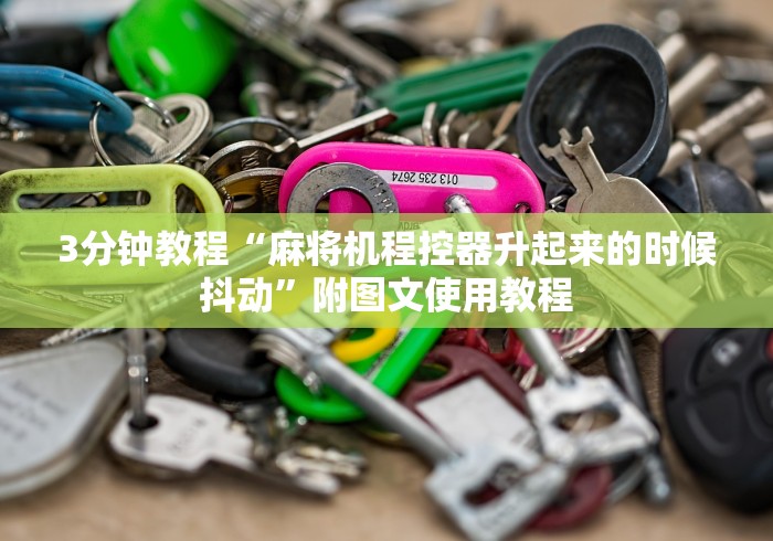 3分钟教程“自动麻将机控牌器装牌”(果然有遥控) 