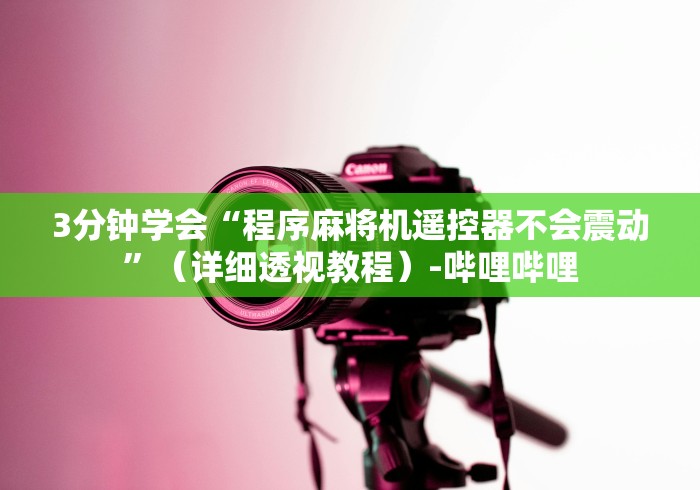 3分钟学会“程序麻将机遥控器不会震动”（详细透视教程）-哔哩哔哩