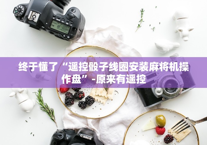 终于懂了“遥控骰子线圈安装麻将机操作盘”-原来有遥控