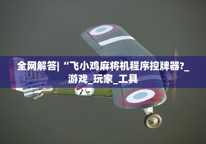全网解答|“飞小鸡麻将机程序控牌器?_游戏_玩家_工具