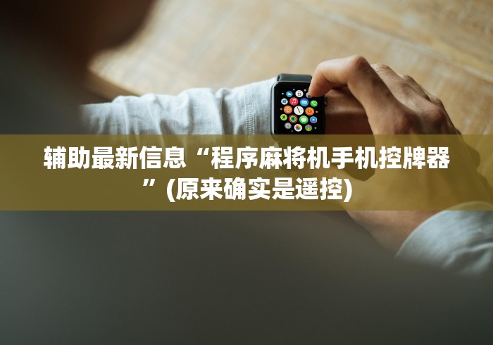 辅助最新信息“程序麻将机手机控牌器”(原来确实是遥控)