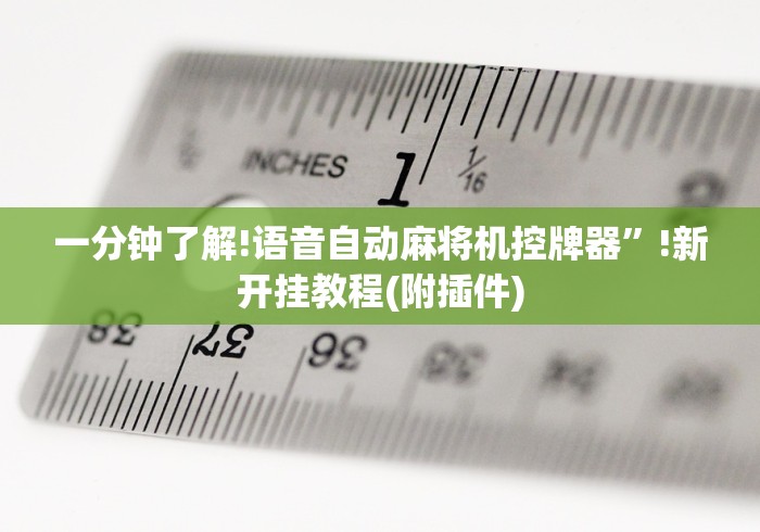 一分钟了解!语音自动麻将机控牌器”!新开挂教程(附插件)