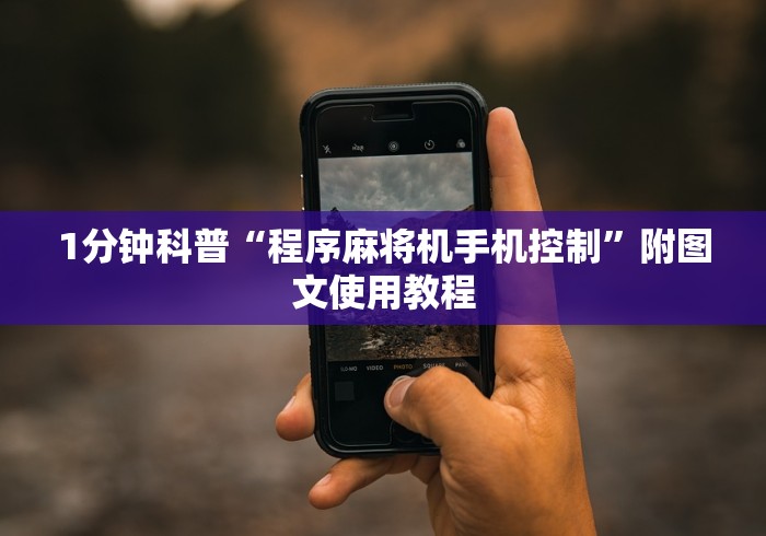 1分钟科普“程序麻将机手机控制”附图文使用教程