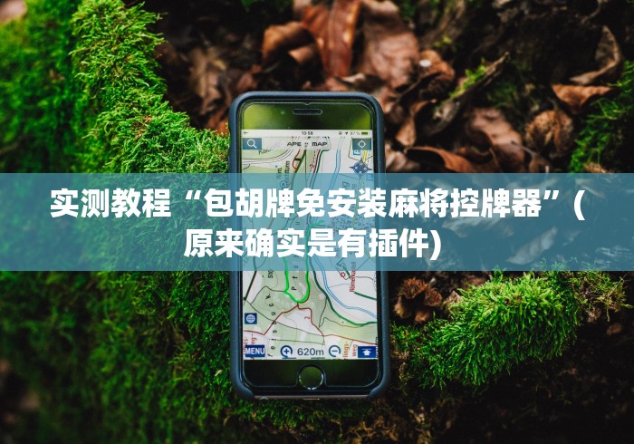 实测教程“包胡牌免安装麻将控牌器”(原来确实是有插件) 