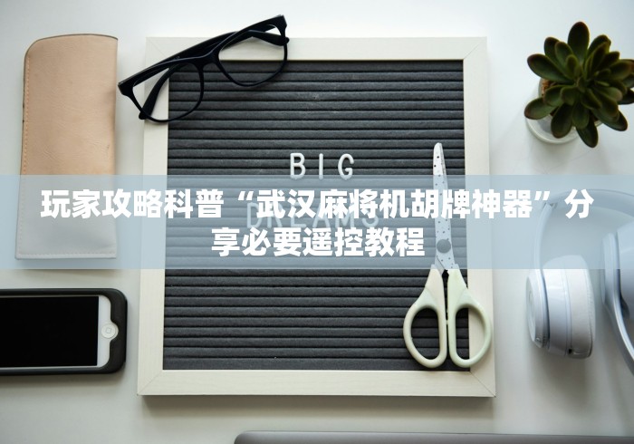 玩家攻略科普“武汉麻将机胡牌神器”分享必要遥控教程