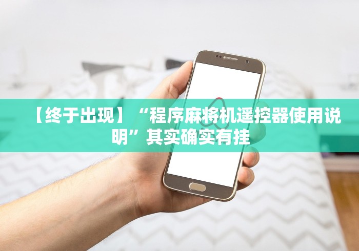 【终于出现】“程序麻将机遥控器使用说明”其实确实有挂