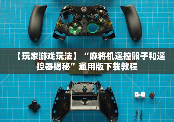 必学玩家攻略“漯河自动麻将机遥控器”(详细透视教程)-哔哩哔哩