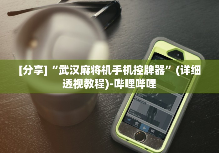 [分享]“武汉麻将机手机控牌器”(详细透视教程)-哔哩哔哩