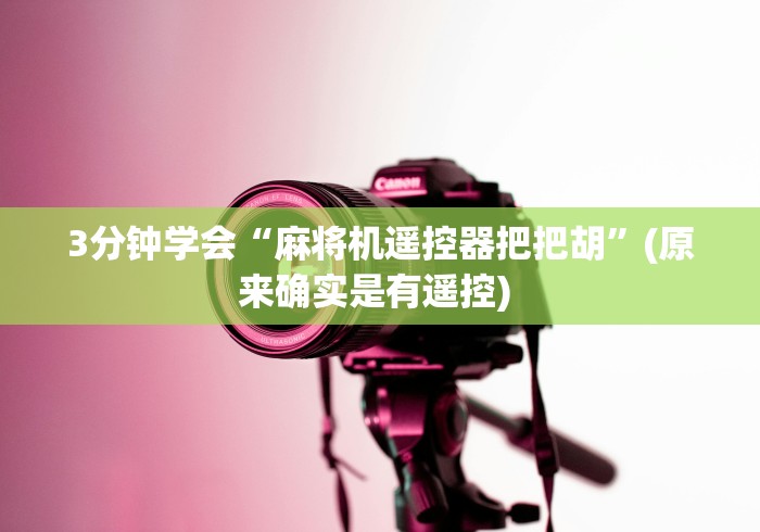 3分钟学会“麻将机遥控器把把胡”(原来确实是有遥控) 