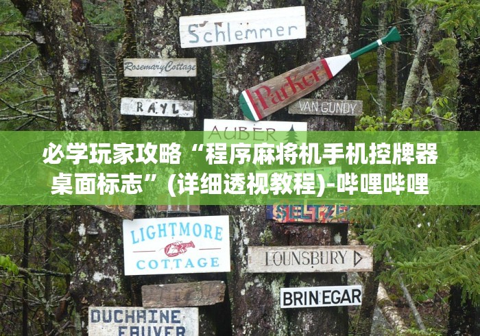 必学玩家攻略“程序麻将机手机控牌器桌面标志”(详细透视教程)-哔哩哔哩