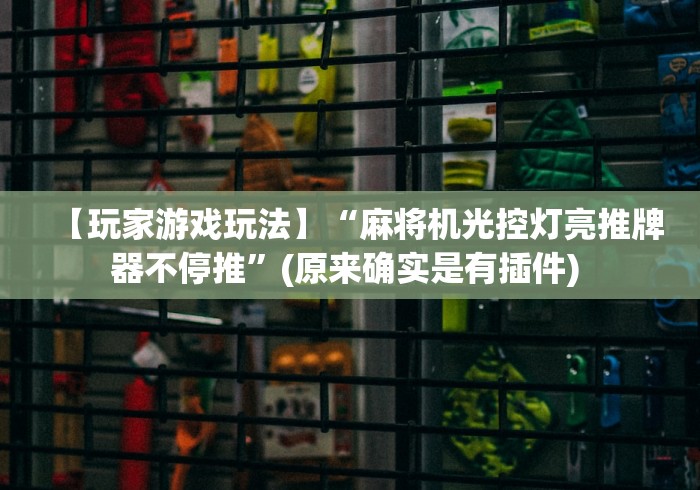 【玩家游戏玩法】“麻将机光控灯亮推牌器不停推”(原来确实是有插件) 