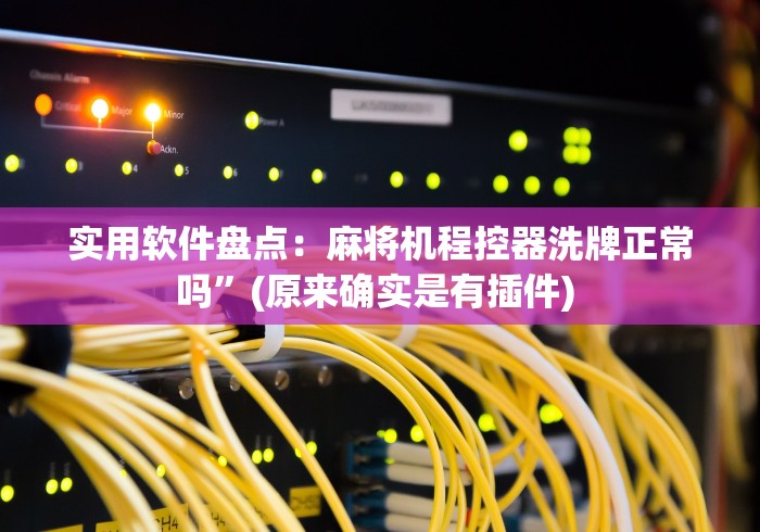 实用软件盘点：麻将机程控器洗牌正常吗”(原来确实是有插件) 