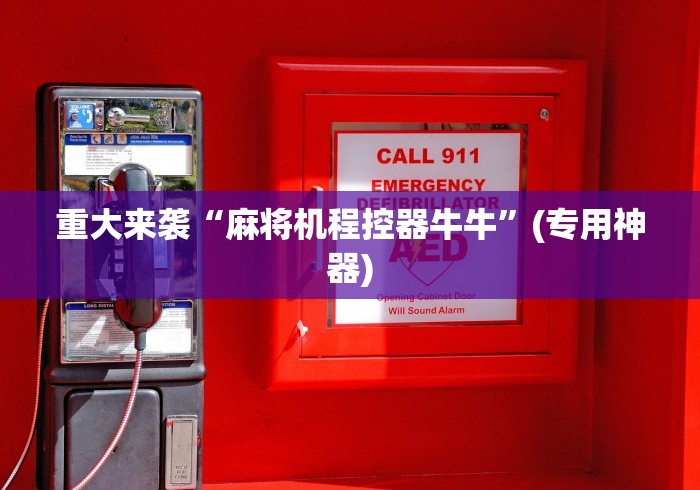 【玩家新攻略】“宁夏麻将机遥控器[玩家必赢神器]