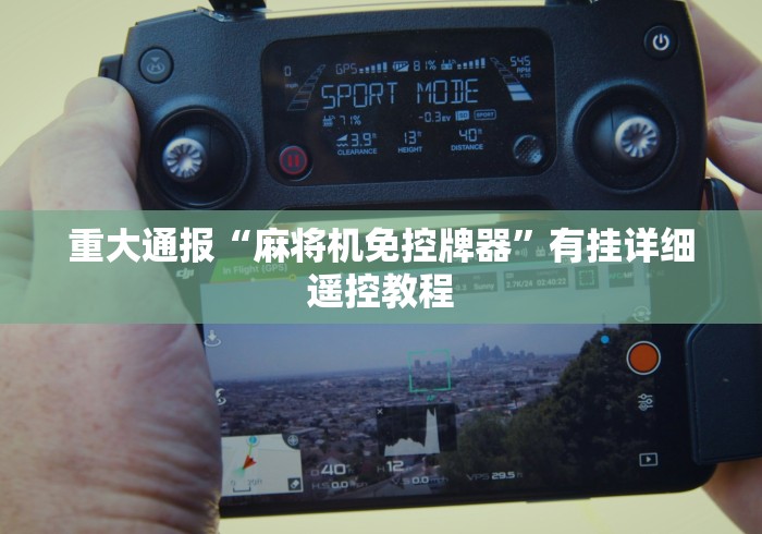 教程辅助“程序麻将机胡牌神器下载”真的遥控