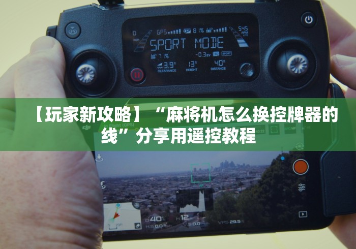 【总结文章“胡牌神器自动麻将机(详细开挂工具)-哔哩哔哩