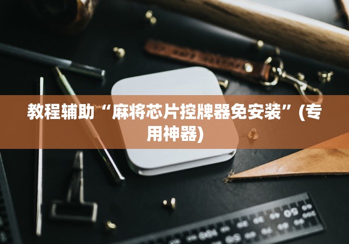 教程辅助“麻将芯片控牌器免安装”(专用神器) 教程辅助“麻将芯片控牌器免安装”(专用神器)