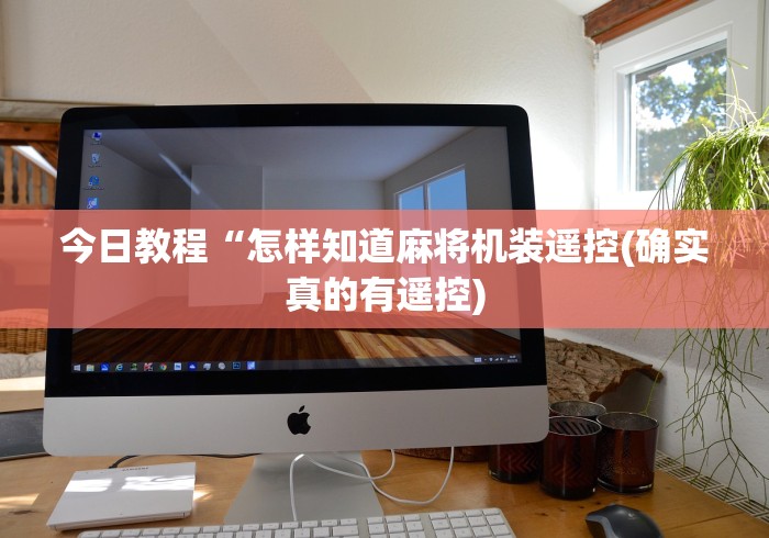 4分钟讲解"麻将机免装控牌器起好牌”(详细透视教程)-哔哩哔哩