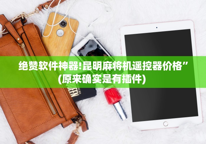 绝赞软件神器!昆明麻将机遥控器价格”(原来确实是有插件) 