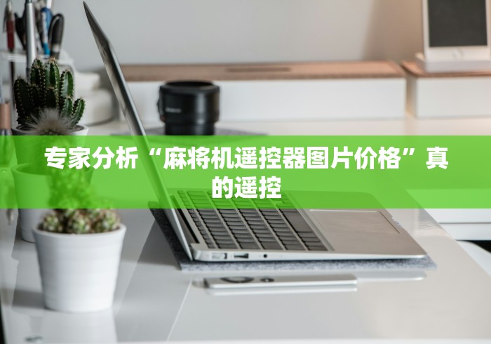 玩家实测“普通麻将机遥控器功能”(详细透视教程)-哔哩哔哩 玩家实测“普通麻将机遥控器功能”(详细透视教程)-哔哩哔哩