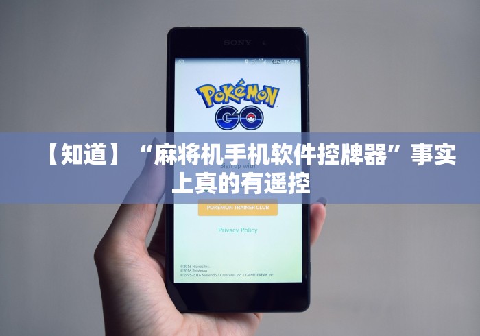 玩家实测“普通麻将机遥控器功能”(详细透视教程)-哔哩哔哩 玩家实测“普通麻将机遥控器功能”(详细透视教程)-哔哩哔哩