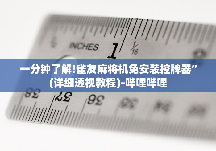 一分钟了解!雀友麻将机免安装控牌器”(详细透视教程)-哔哩哔哩