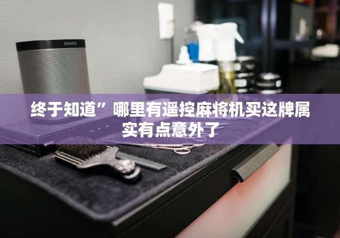 终于知道”哪里有遥控麻将机买这牌属实有点意外了