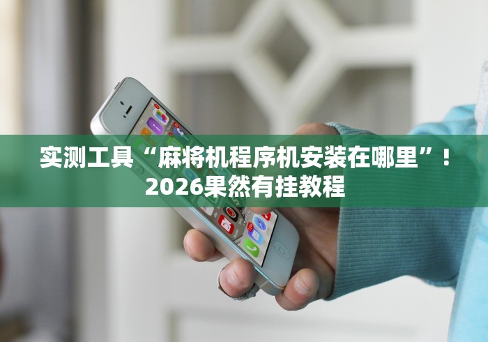 实测工具“麻将机程序机安装在哪里”!2026果然有挂教程