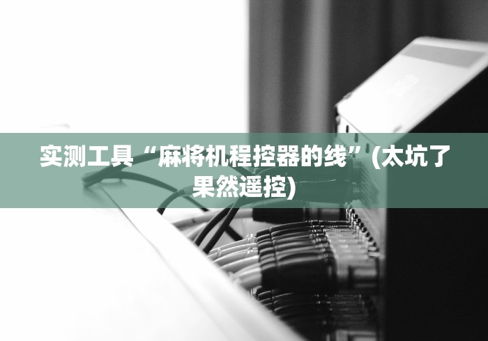 实测工具“麻将机程控器的线”(太坑了果然遥控) 实测工具“麻将机程控器的线”(太坑了果然遥控)