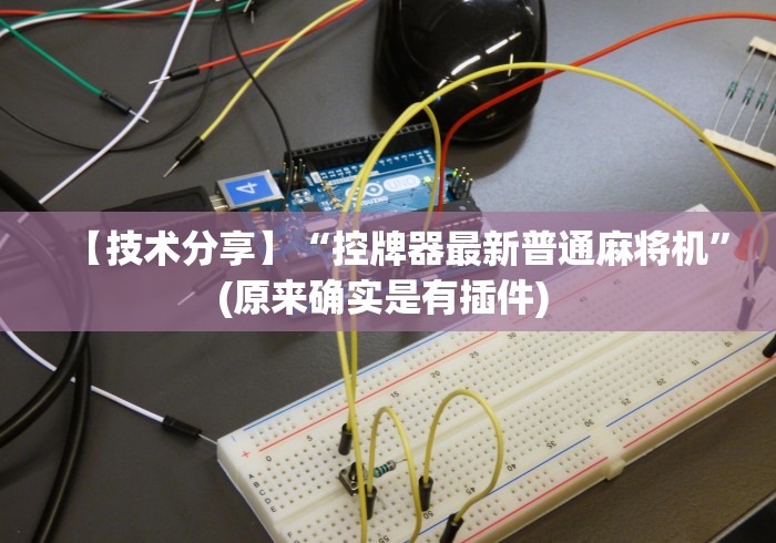 【技术分享】“控牌器最新普通麻将机”(原来确实是有插件) 