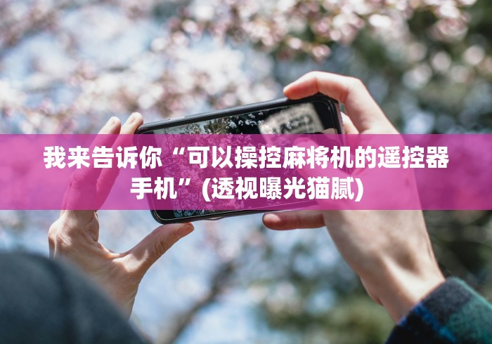 我来告诉你“可以操控麻将机的遥控器手机”(透视曝光猫腻)