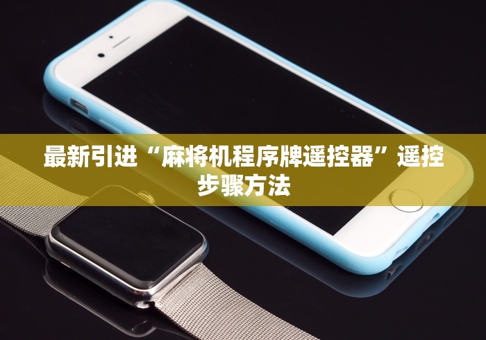 最新引进“麻将机程序牌遥控器”遥控步骤方法