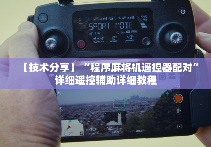 【技术分享】“程序麻将机遥控器配对”详细遥控辅助详细教程 【技术分享】“程序麻将机遥控器配对”详细遥控辅助详细教程