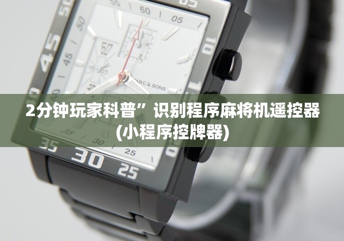 2分钟玩家科普”识别程序麻将机遥控器(小程序控牌器)