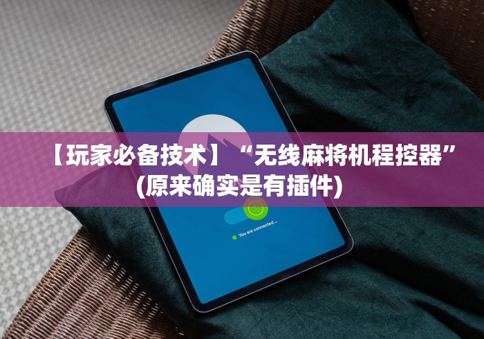 【玩家必备技术】“无线麻将机程控器”(原来确实是有插件) 