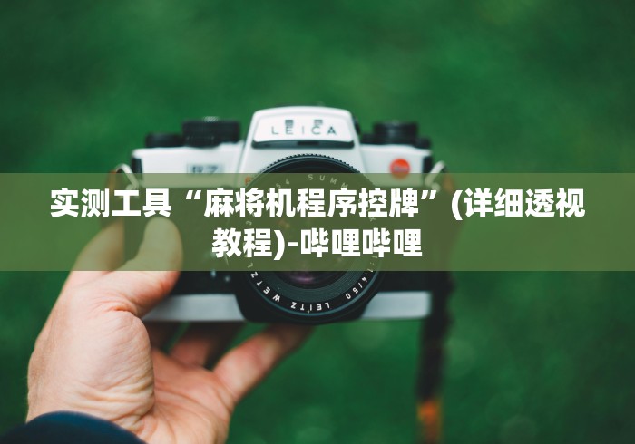 实测工具“麻将机程序控牌”(详细透视教程)-哔哩哔哩 实测工具“麻将机程序控牌”(详细透视教程)-哔哩哔哩