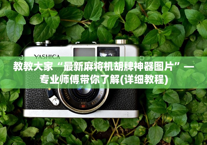 教教大家“最新麻将机胡牌神器图片”—专业师傅带你了解(详细教程) 教教大家“最新麻将机胡牌神器图片”—专业师傅带你了解(详细教程)