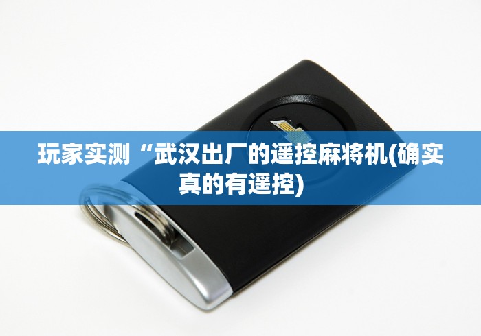 玩家实测“武汉出厂的遥控麻将机(确实真的有遥控)