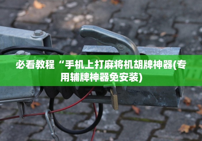 必看教程“手机上打麻将机胡牌神器(专用辅牌神器免安装)