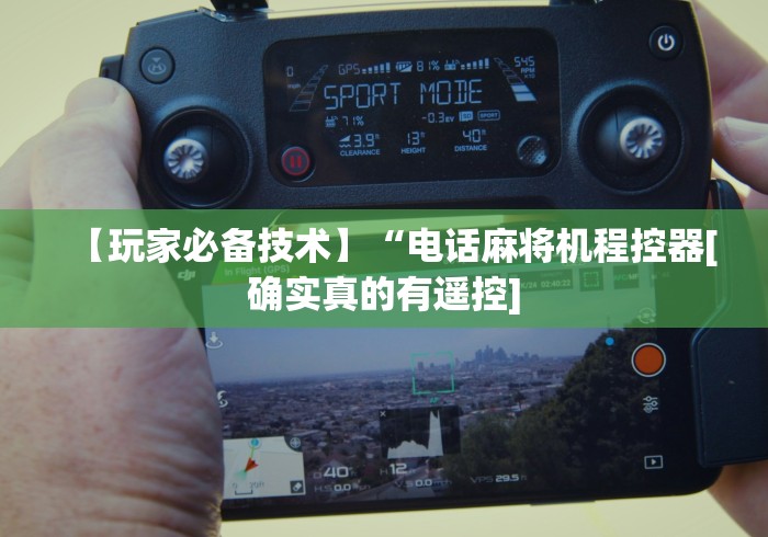 【玩家必备技术】“电话麻将机程控器[确实真的有遥控]