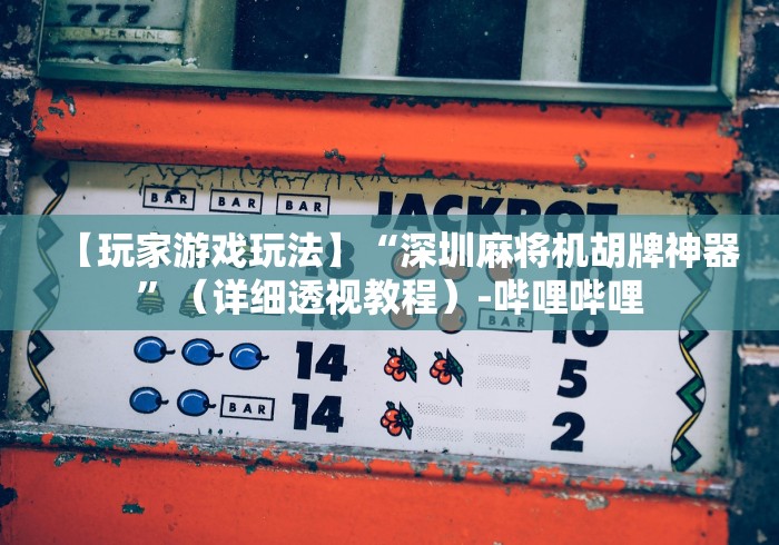 【玩家游戏玩法】“深圳麻将机胡牌神器”（详细透视教程）-哔哩哔哩