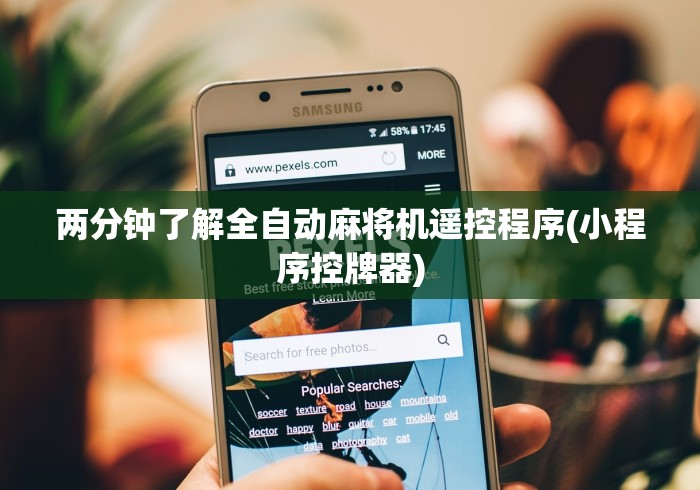 两分钟了解全自动麻将机遥控程序(小程序控牌器)